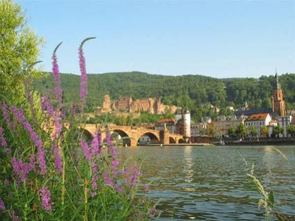 Serviced Apartments Kurpfalzhof Oftersheim Екстер'єр фото